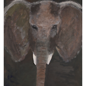 Elefant