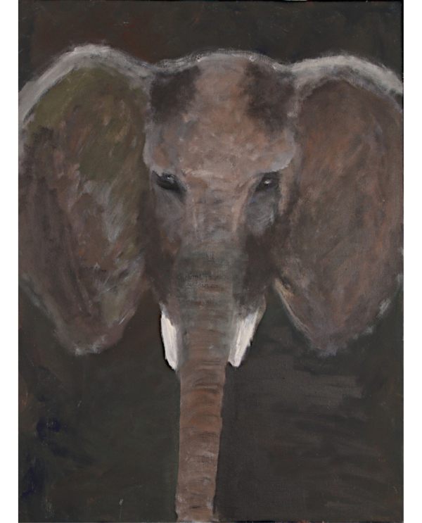 Elefant